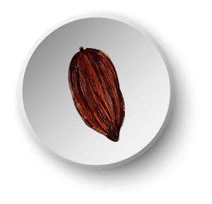 Cocoa