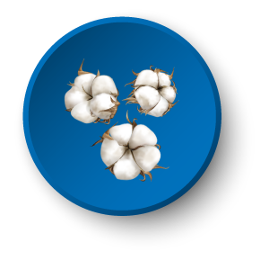Cotton
