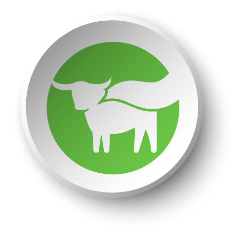 Beyond Meat